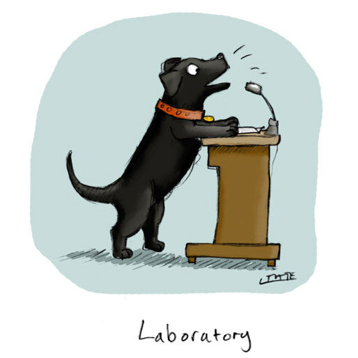 Laboratory Greeting card