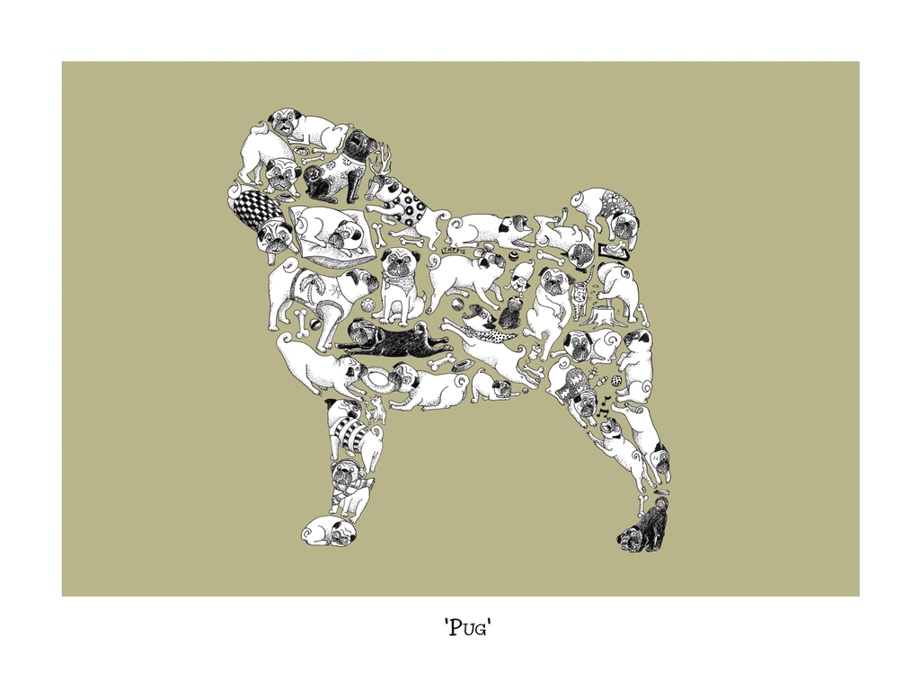 Pug