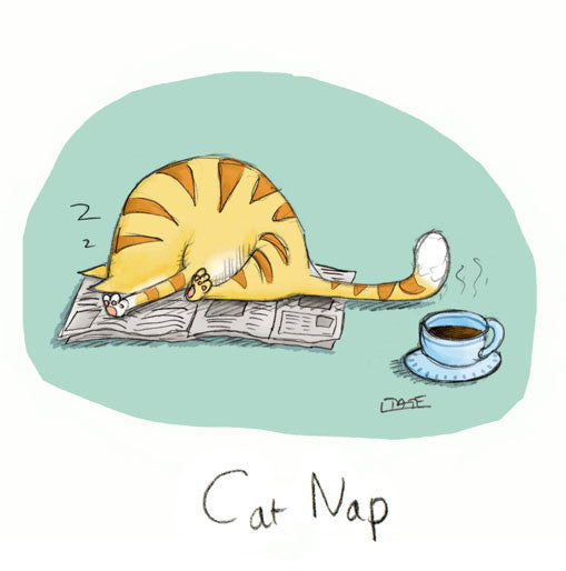Cat Nap Greeting card