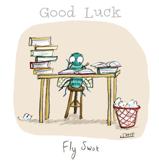 Fly Swot - Good Luck Greeting card