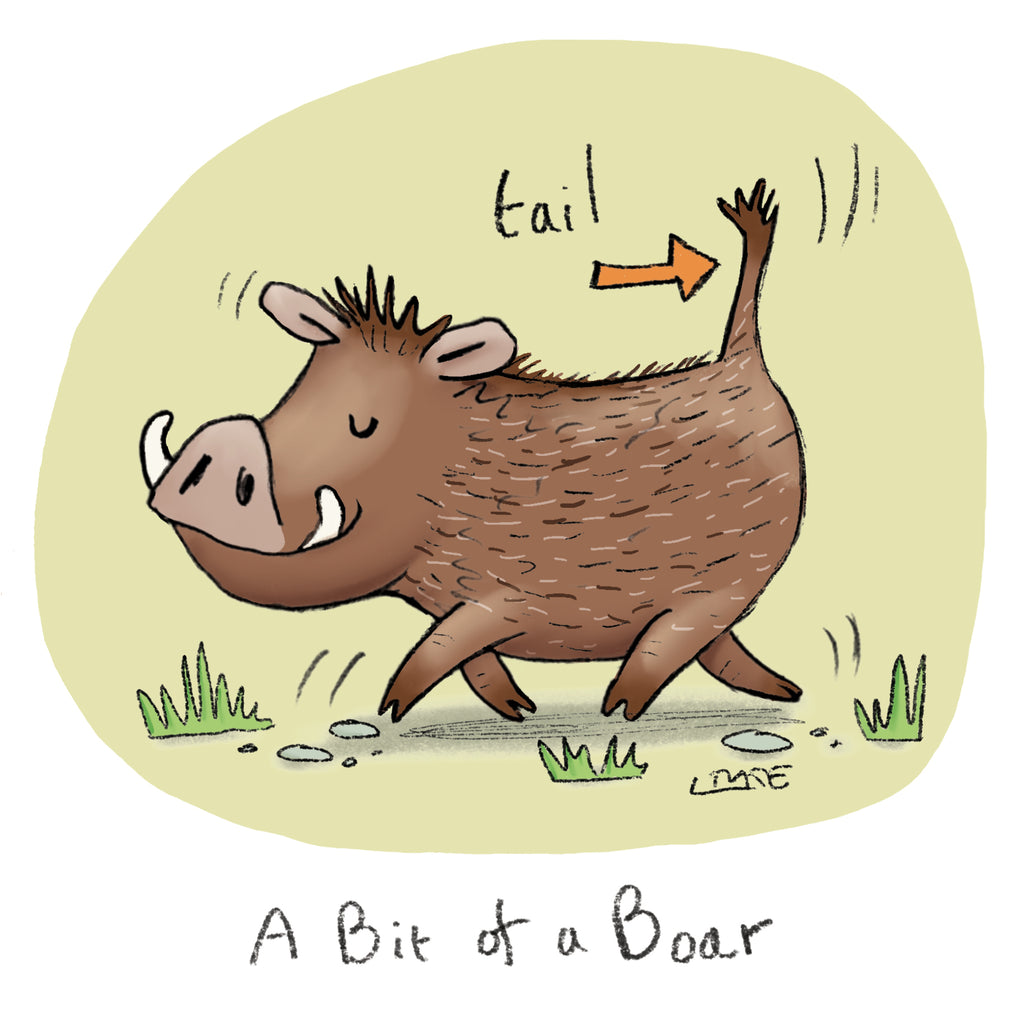 A Bit of a Boar
