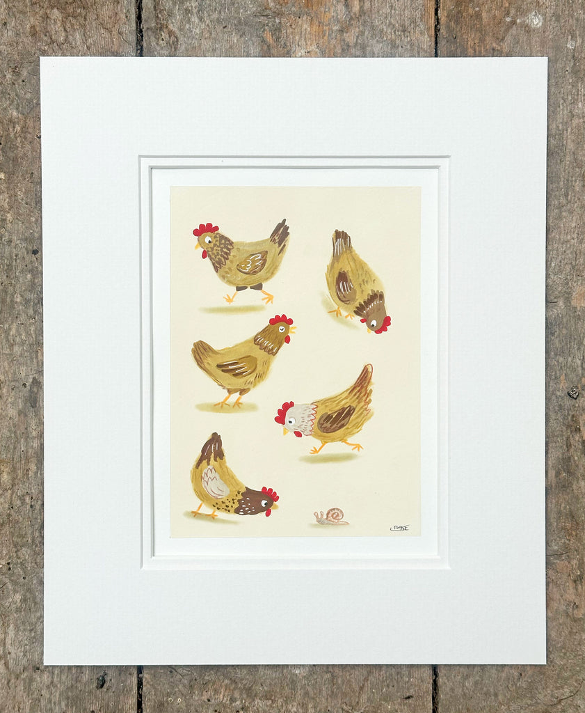 Light Brown Chickens