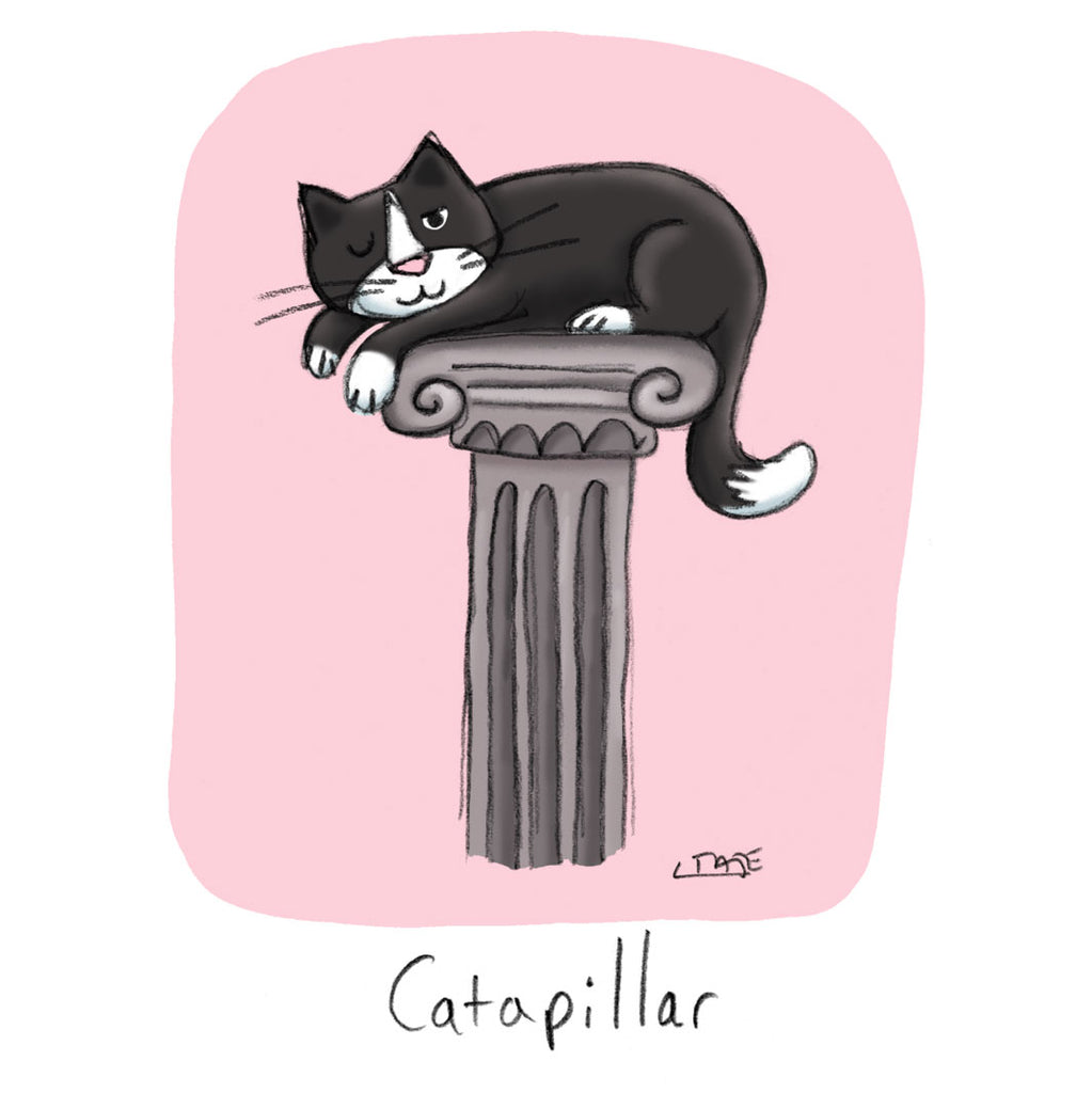 Catapillar