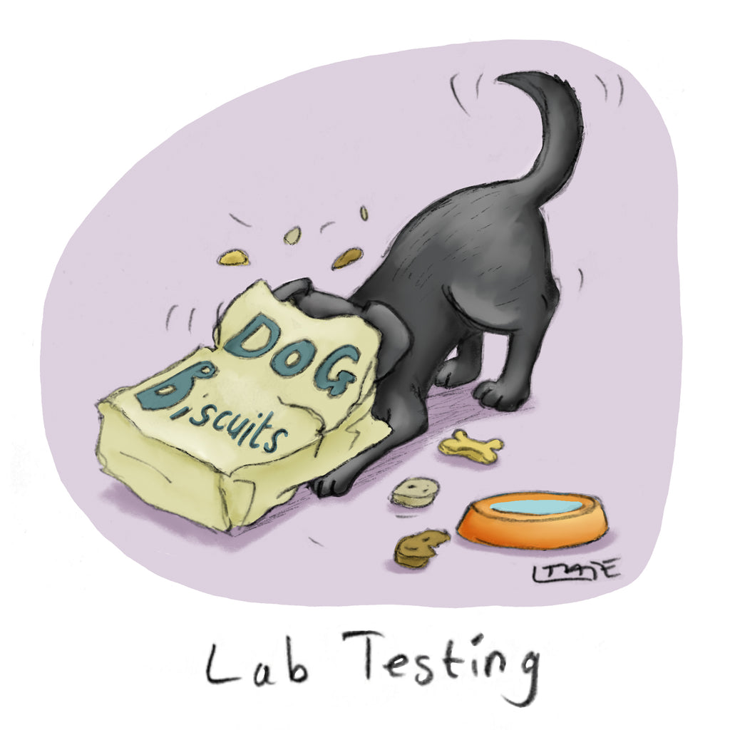 Lab Testing