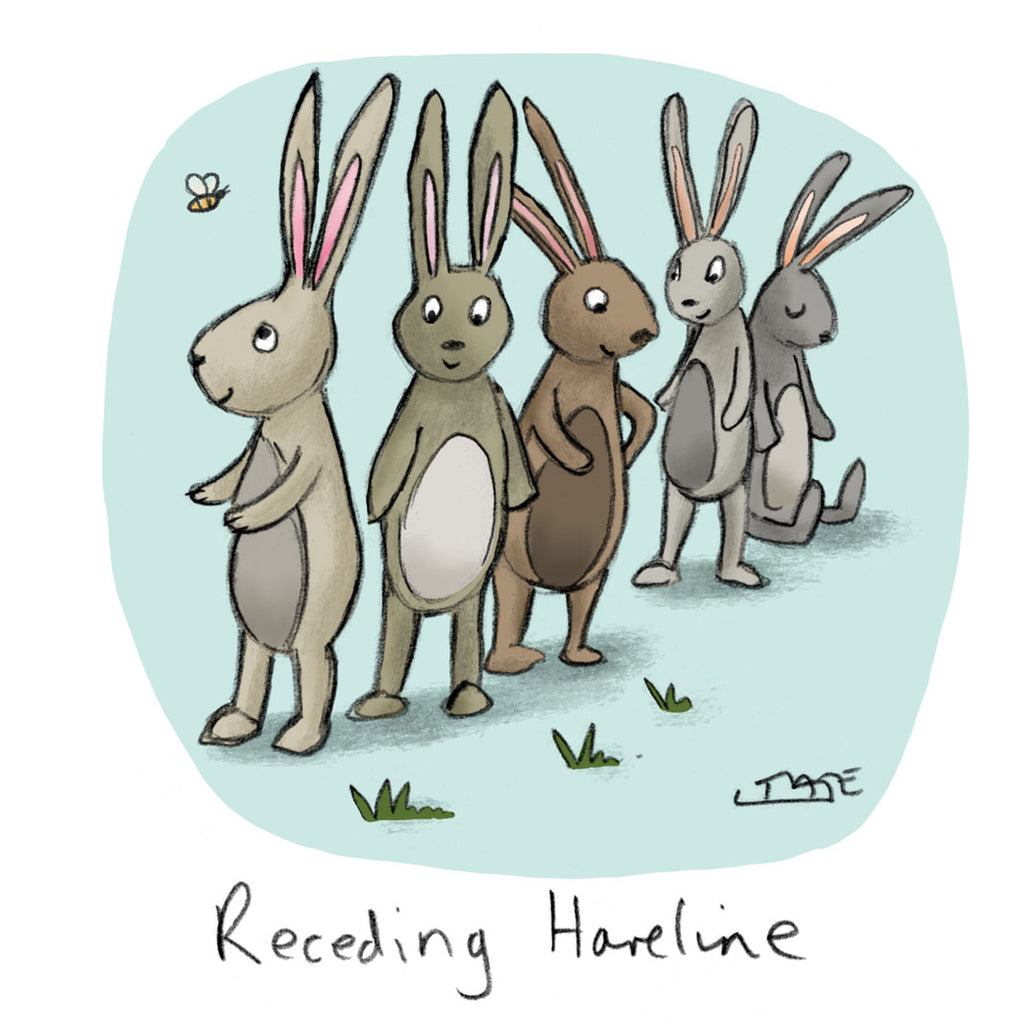 Receding Hareline