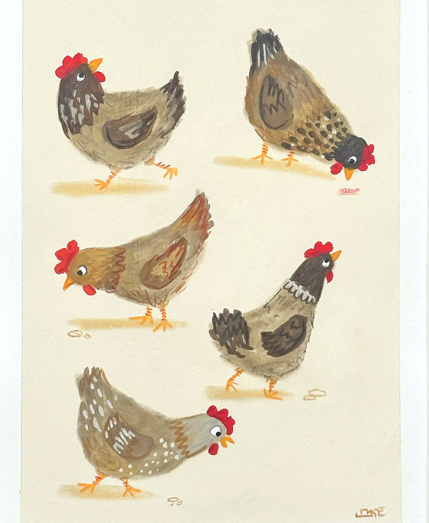 Brown Chickens