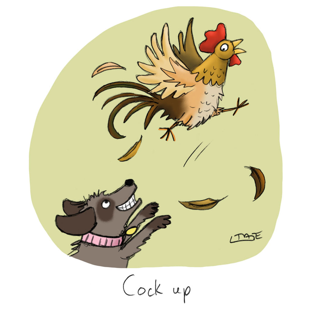 Cock Up