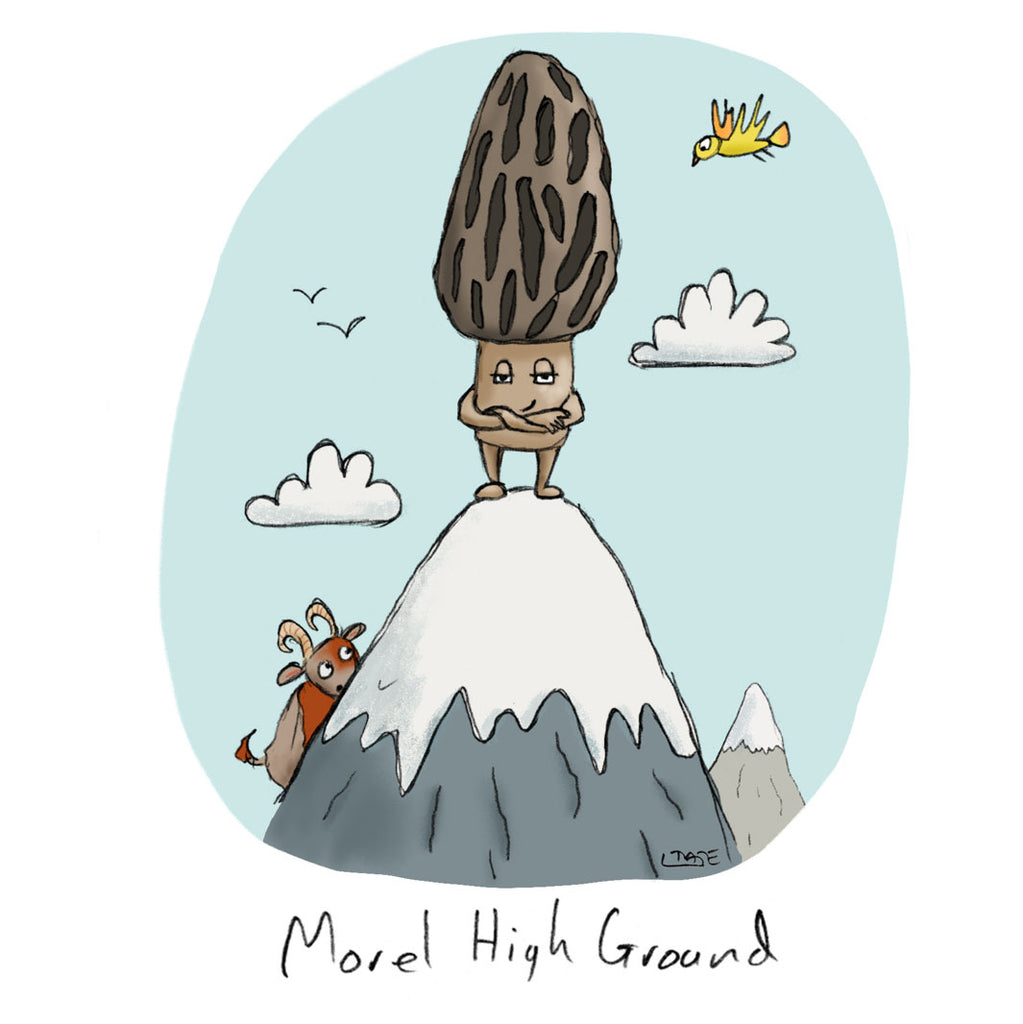 Morel High Ground