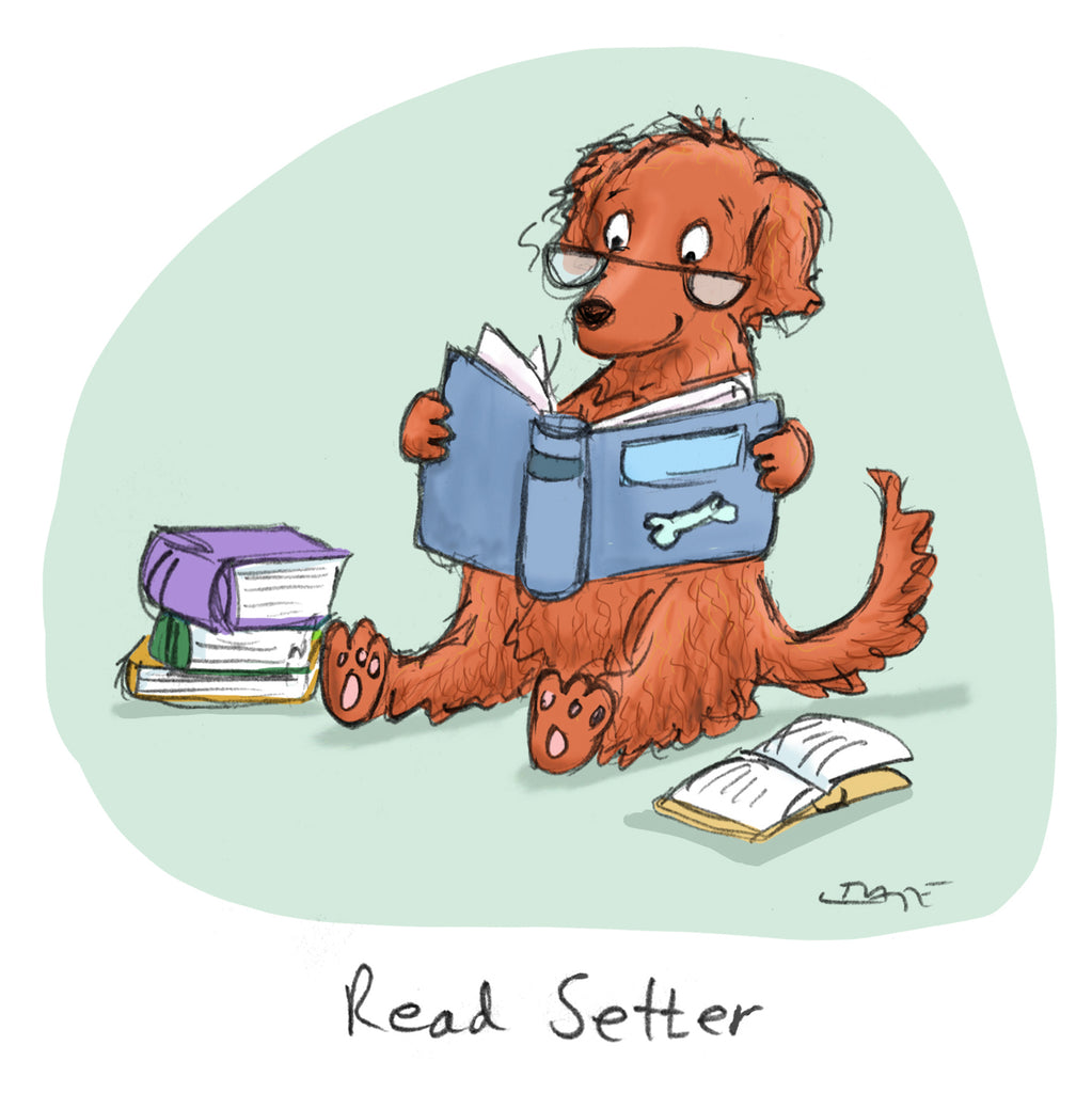 Read Setter