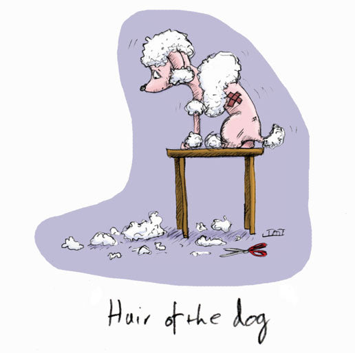 Hair of the Dog Greeting card