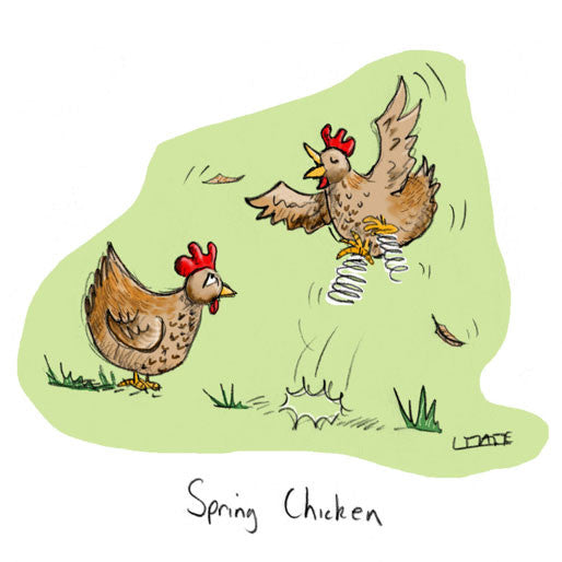 Spring Chicken Greeting card