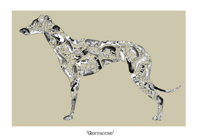 Greyhound Greeting card