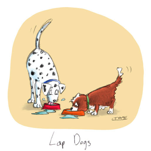 Lap Dogs Greeting card