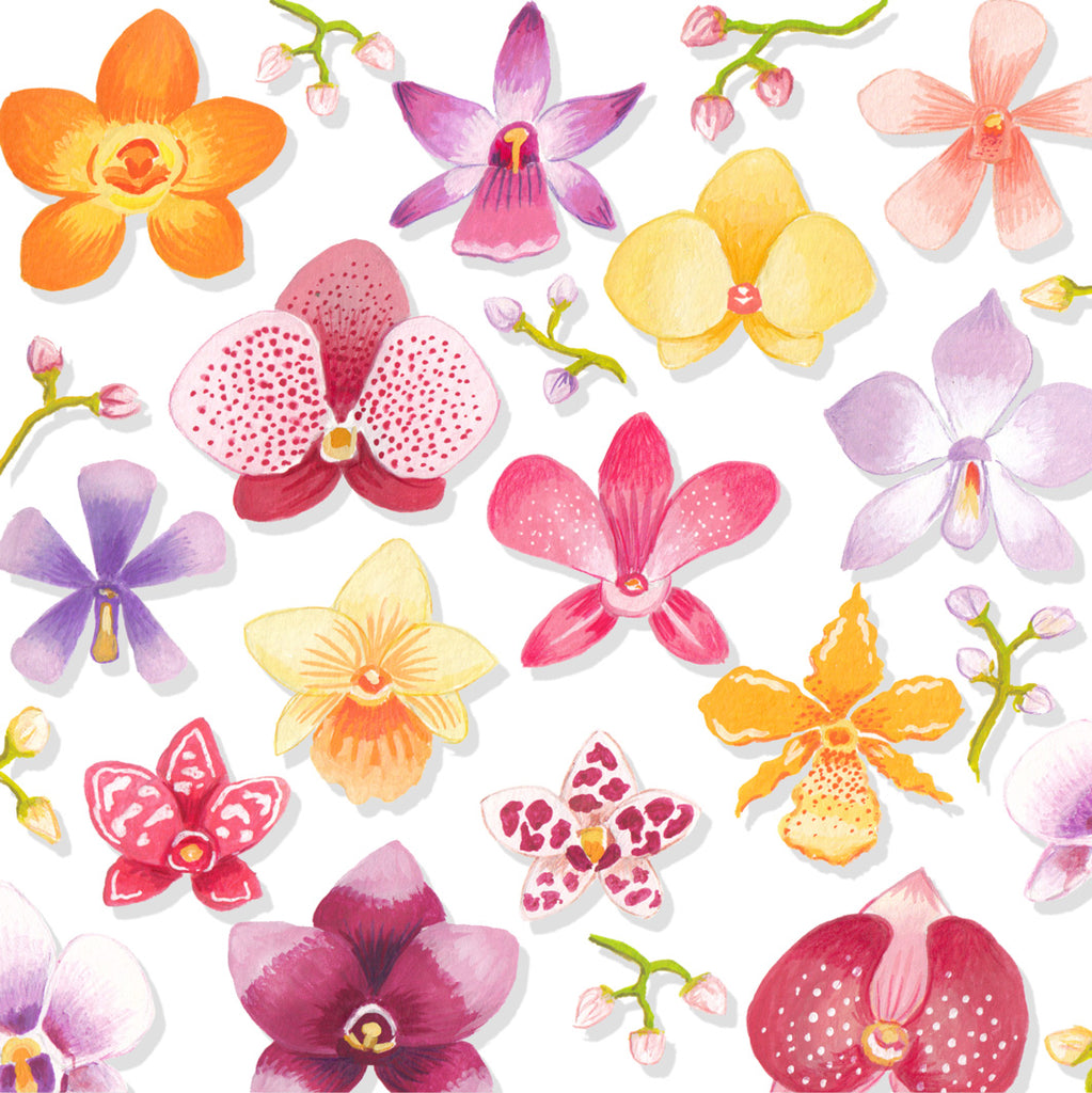 Orchid Greeting card