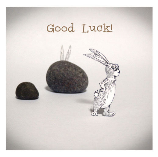 Rabbit and Stones -Good Luck Greeting card