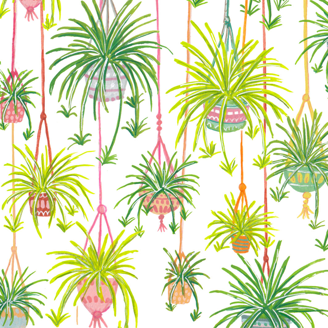 spider plant clipart Spider Plant Greeting Card